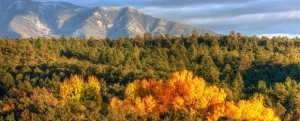 Fall color in northern New Mexico, copyright Nina Anthony