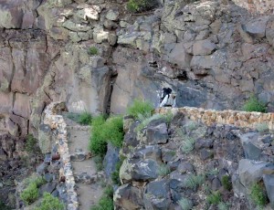 Big Arsenic Springs Trail by Del DuBois