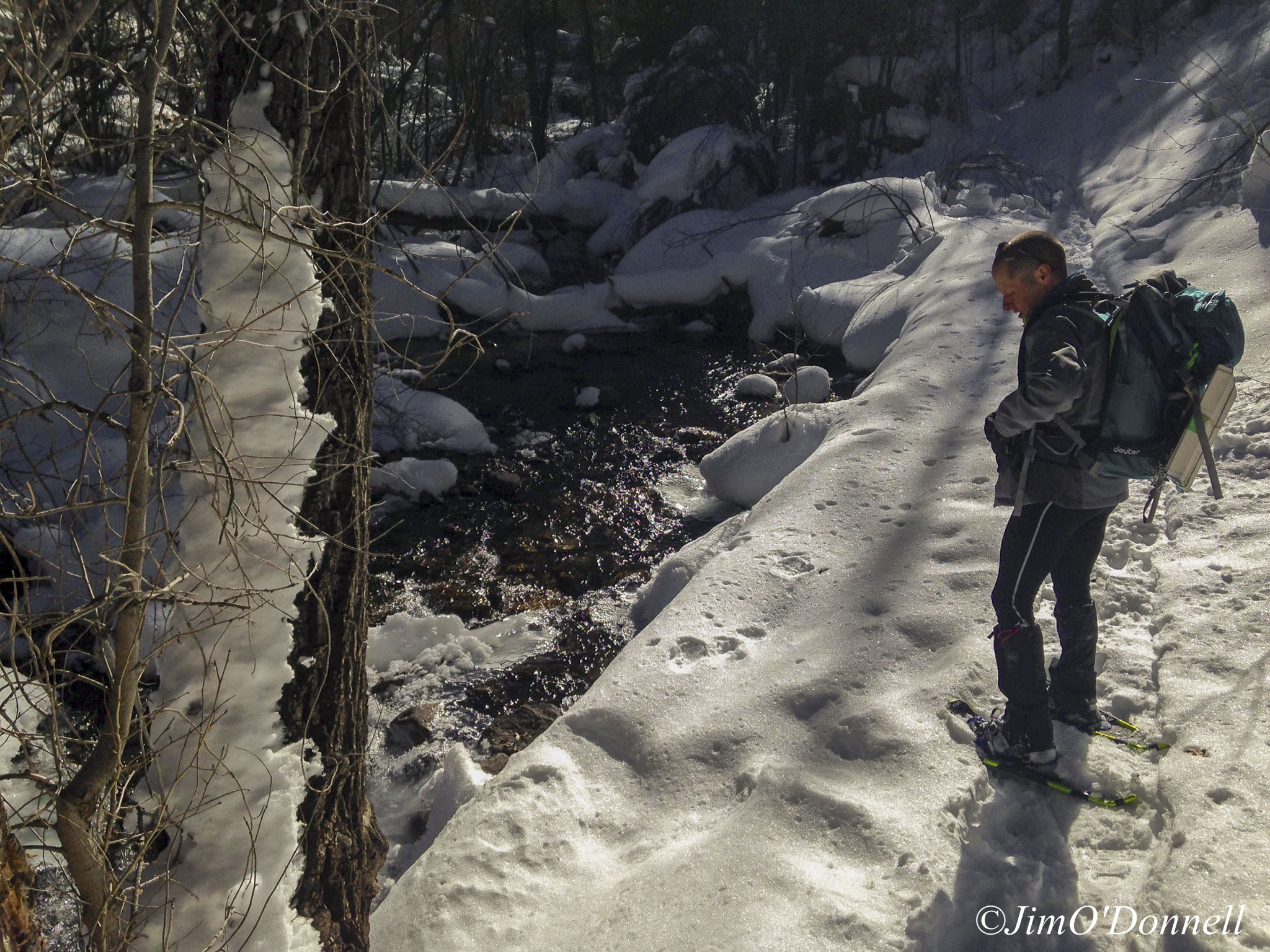 Top 5 Winter Activities in Taos (beside skiing!) BeyondTaos